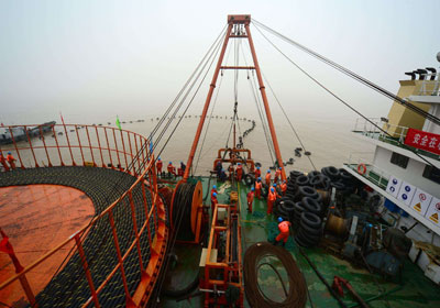 中科院院士王教授來本公司